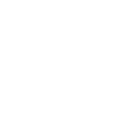 Hearts Icon