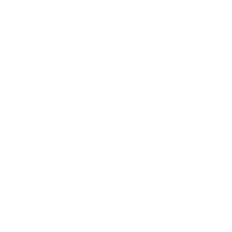 Feather White Icon